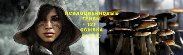 спайс Нязепетровск
