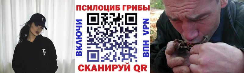 Псилоцибиновые грибы Magic Shrooms закладки кракен зеркало Палласовка